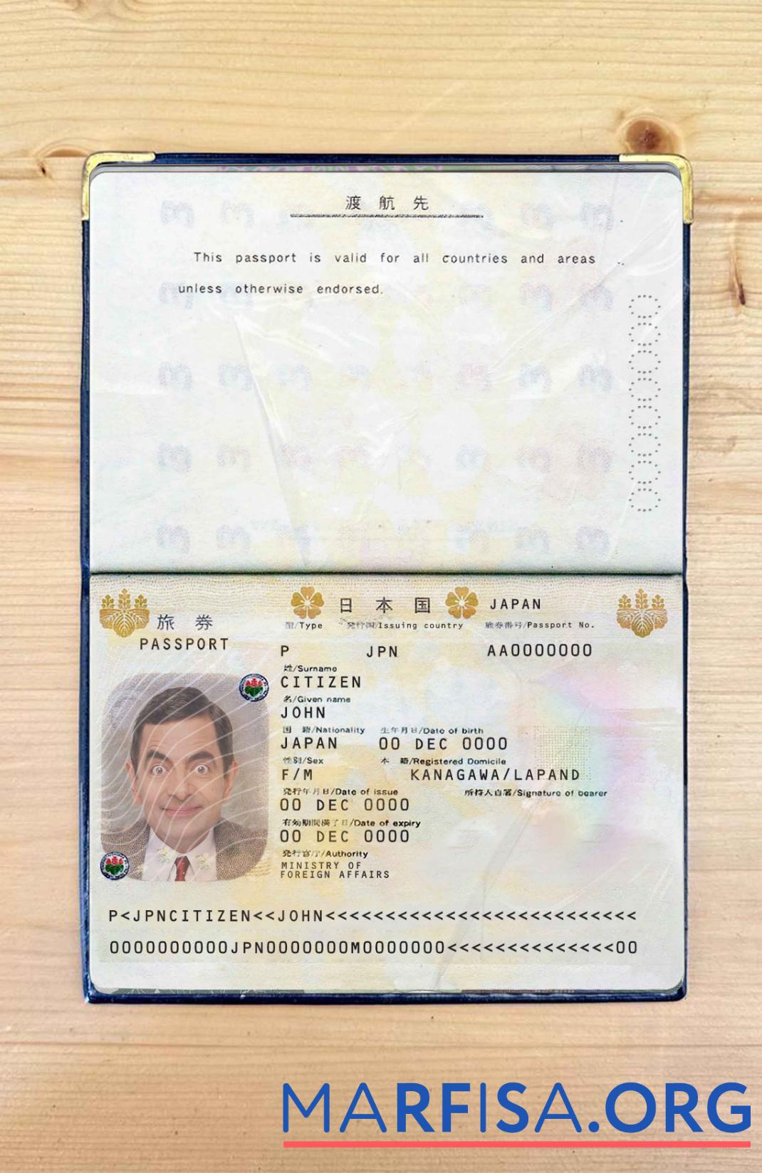 Realistic Japan pass photo look sample